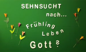 Unser Schaukasten Ahrensburg Frühling